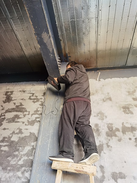 香港精准马料