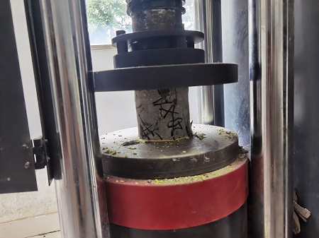 香港精准马料